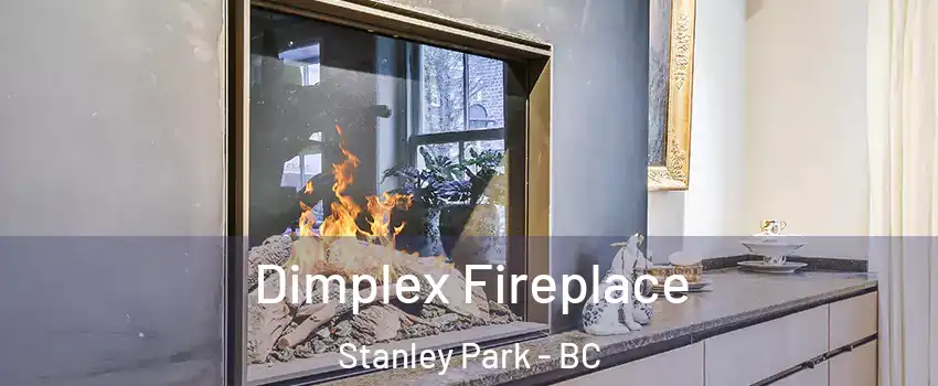  Dimplex Fireplace Stanley Park - BC