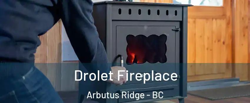  Drolet Fireplace Arbutus Ridge - BC