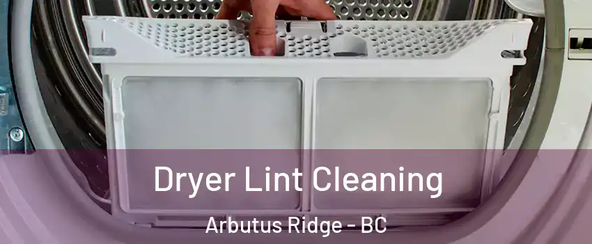  Dryer Lint Cleaning Arbutus Ridge - BC