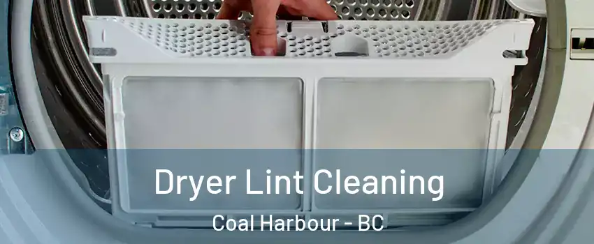  Dryer Lint Cleaning Coal Harbour - BC