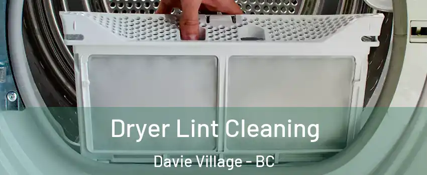  Dryer Lint Cleaning Davie Village - BC
