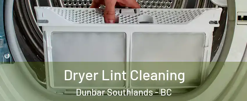  Dryer Lint Cleaning Dunbar Southlands - BC