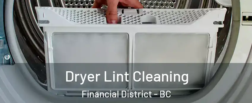  Dryer Lint Cleaning Financial District - BC