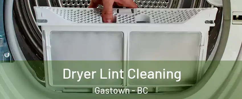  Dryer Lint Cleaning Gastown - BC