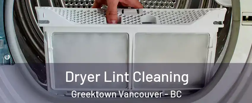  Dryer Lint Cleaning Greektown Vancouver - BC