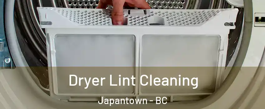  Dryer Lint Cleaning Japantown - BC