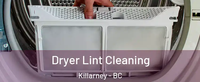  Dryer Lint Cleaning Killarney - BC