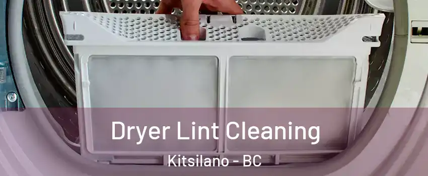  Dryer Lint Cleaning Kitsilano - BC