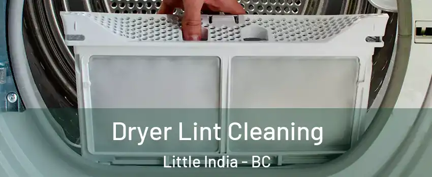  Dryer Lint Cleaning Little India - BC