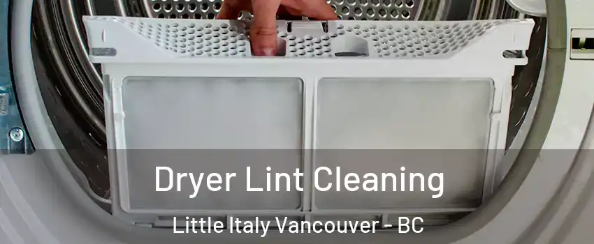  Dryer Lint Cleaning Little Italy Vancouver - BC