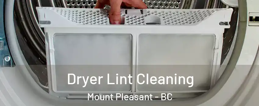  Dryer Lint Cleaning Mount Pleasant - BC