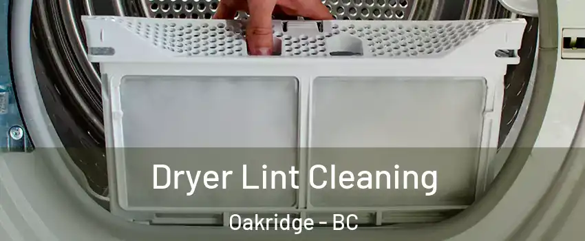  Dryer Lint Cleaning Oakridge - BC