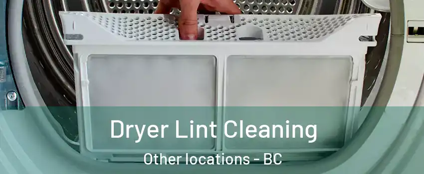  Dryer Lint Cleaning Other locations - BC