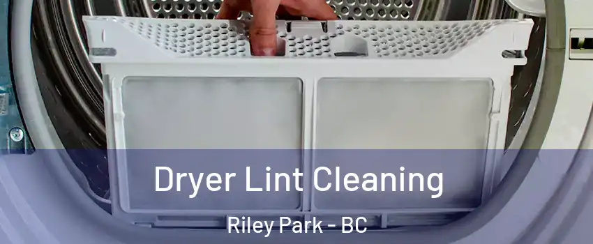  Dryer Lint Cleaning Riley Park - BC