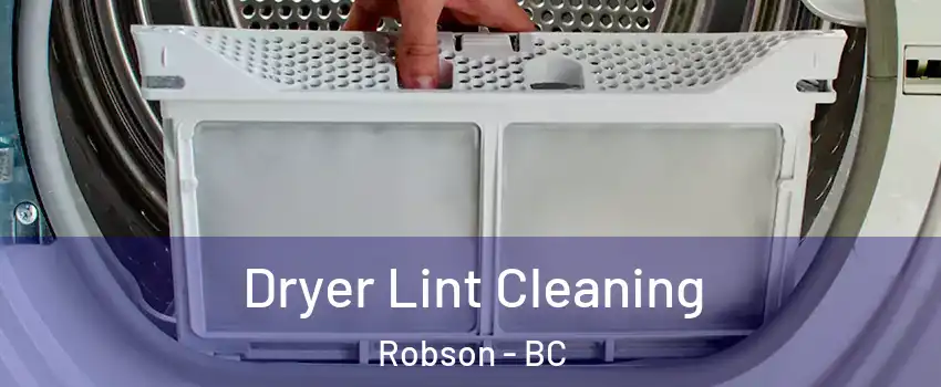  Dryer Lint Cleaning Robson - BC