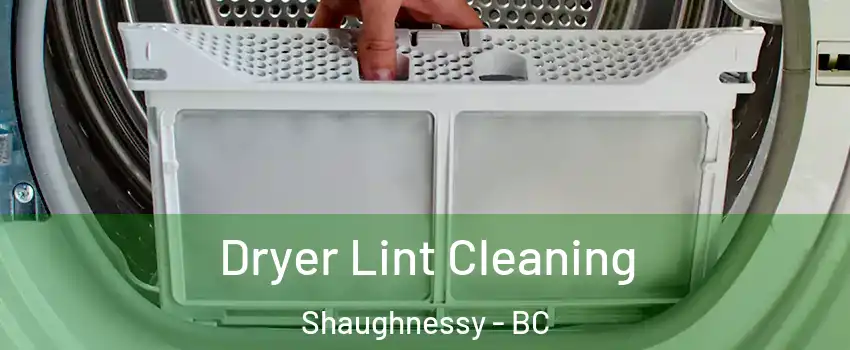  Dryer Lint Cleaning Shaughnessy - BC