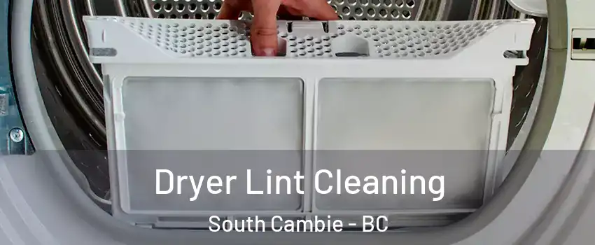  Dryer Lint Cleaning South Cambie - BC