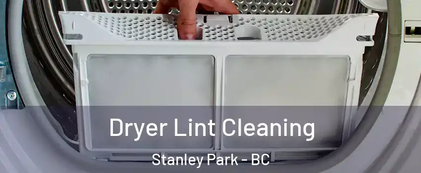  Dryer Lint Cleaning Stanley Park - BC