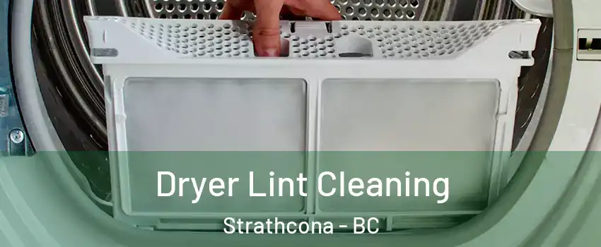  Dryer Lint Cleaning Strathcona - BC