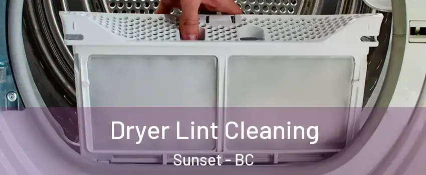  Dryer Lint Cleaning Sunset - BC