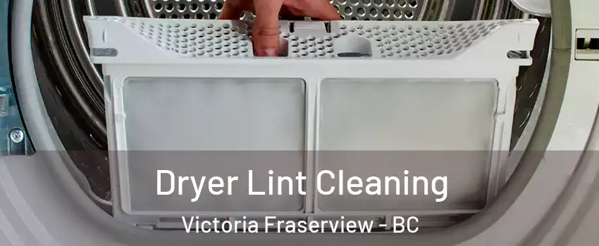  Dryer Lint Cleaning Victoria Fraserview - BC