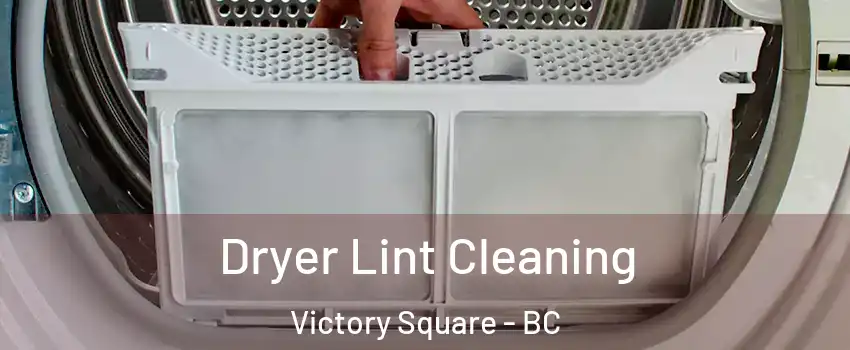  Dryer Lint Cleaning Victory Square - BC