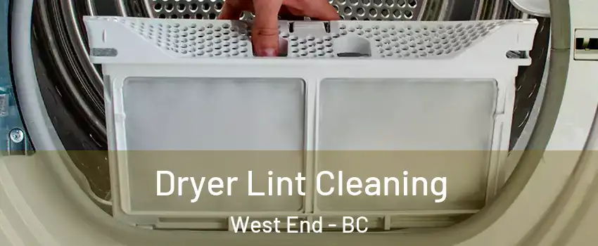  Dryer Lint Cleaning West End - BC