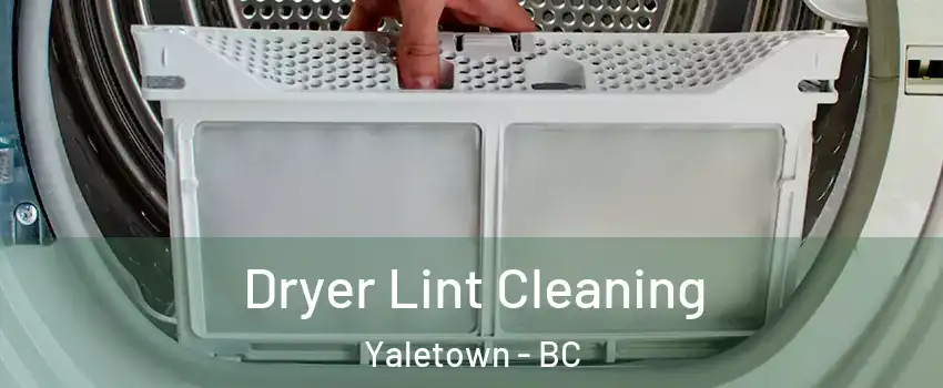  Dryer Lint Cleaning Yaletown - BC