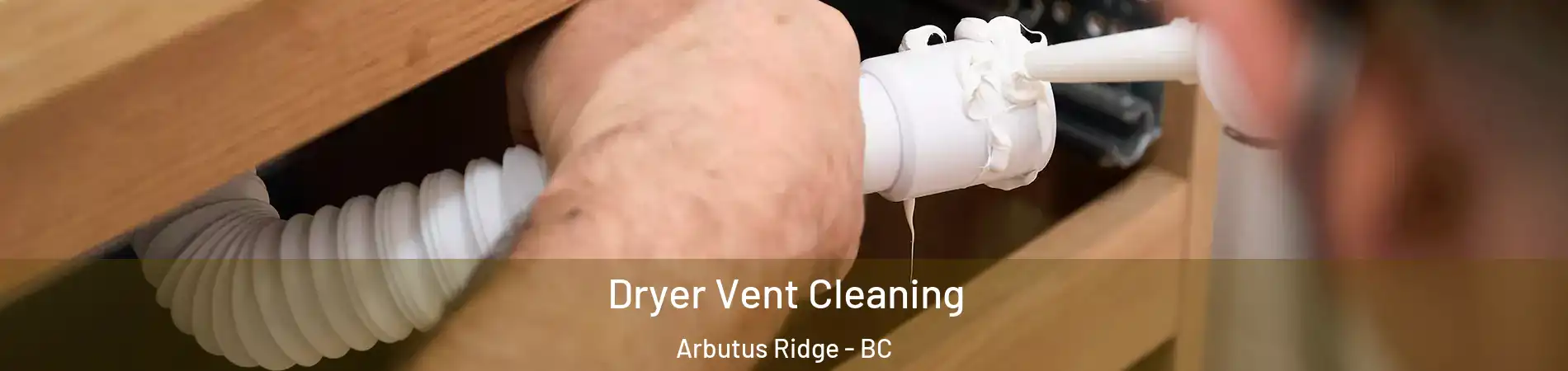  Dryer Vent Cleaning Arbutus Ridge - BC
