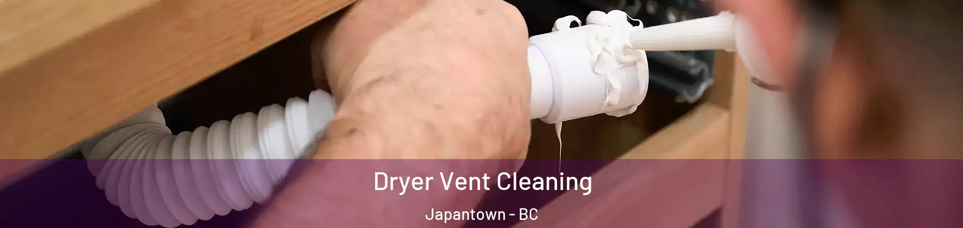  Dryer Vent Cleaning Japantown - BC