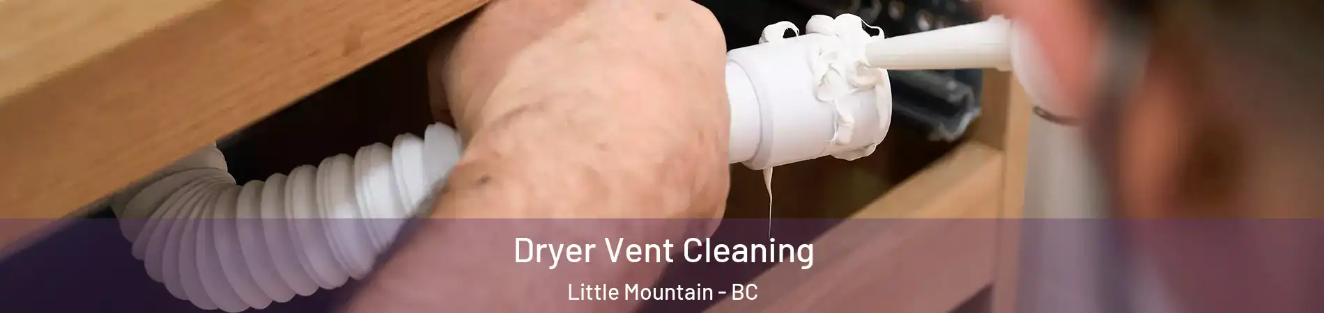  Dryer Vent Cleaning Little Mountain - BC