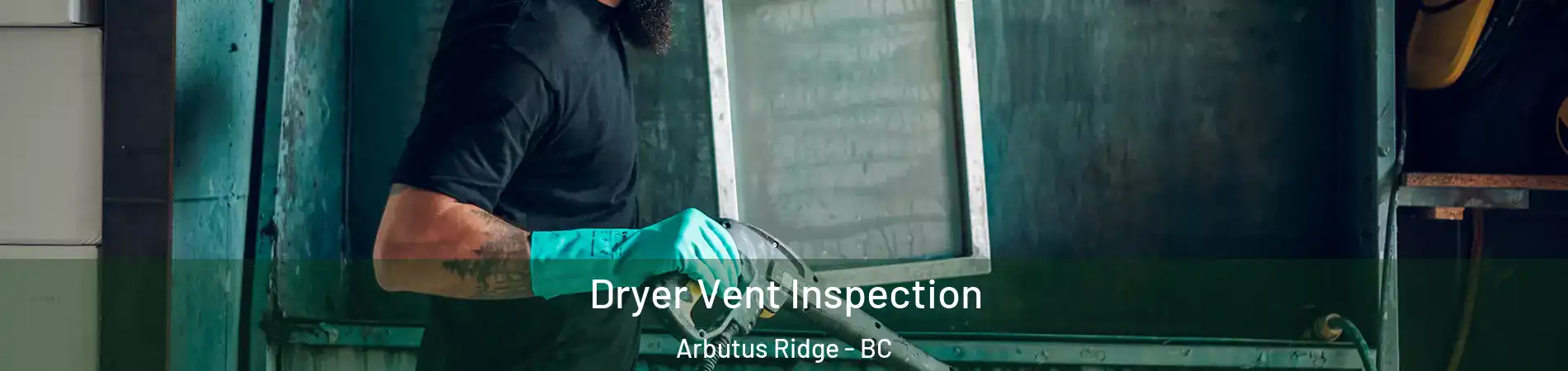 Dryer Vent Inspection Arbutus Ridge - BC