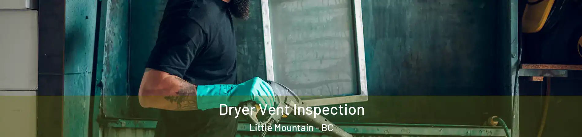  Dryer Vent Inspection Little Mountain - BC