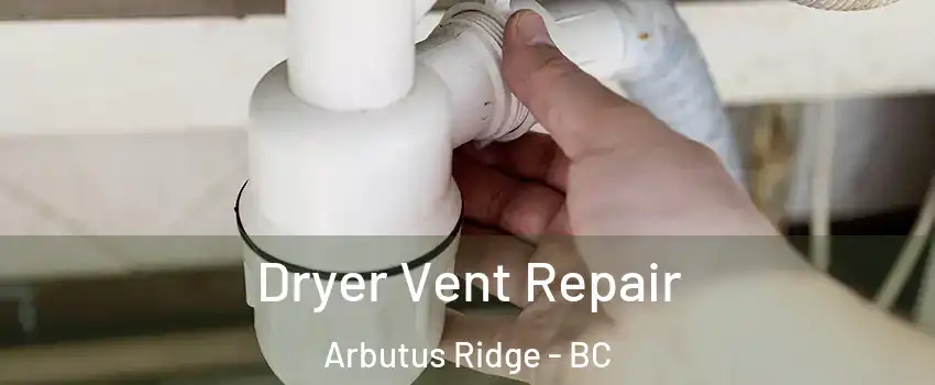  Dryer Vent Repair Arbutus Ridge - BC