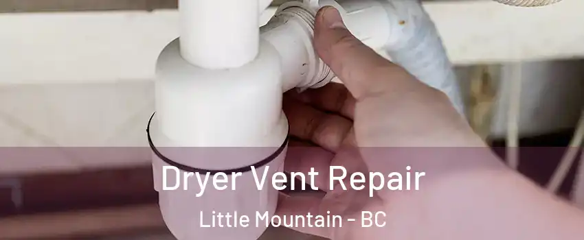  Dryer Vent Repair Little Mountain - BC