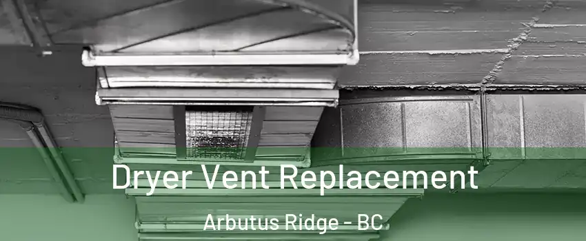  Dryer Vent Replacement Arbutus Ridge - BC