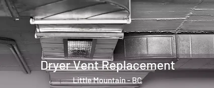  Dryer Vent Replacement Little Mountain - BC
