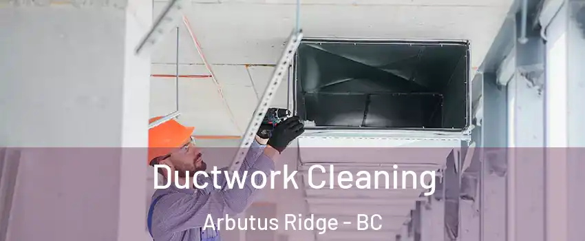  Ductwork Cleaning Arbutus Ridge - BC