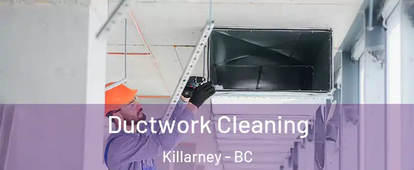  Ductwork Cleaning Killarney - BC