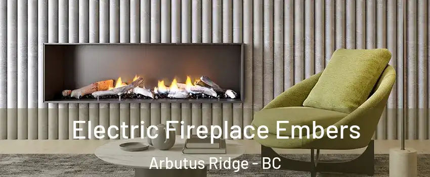  Electric Fireplace Embers Arbutus Ridge - BC