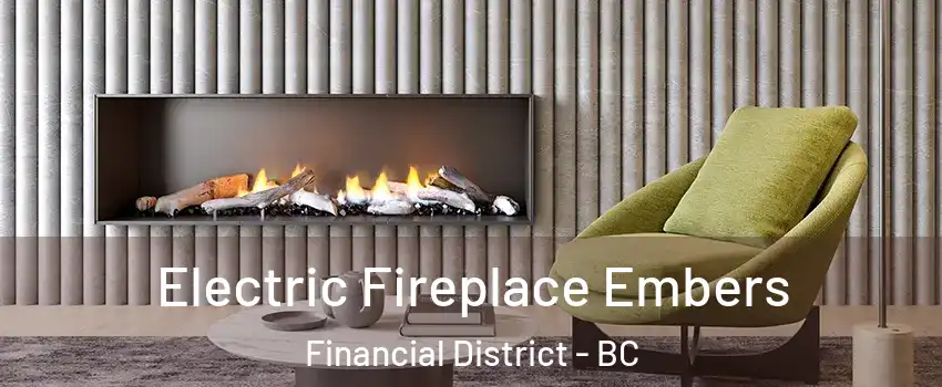  Electric Fireplace Embers Financial District - BC