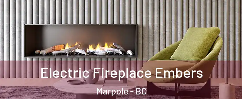  Electric Fireplace Embers Marpole - BC