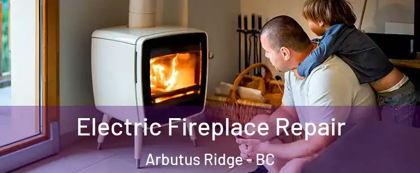  Electric Fireplace Repair Arbutus Ridge - BC