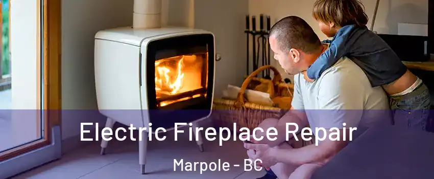  Electric Fireplace Repair Marpole - BC