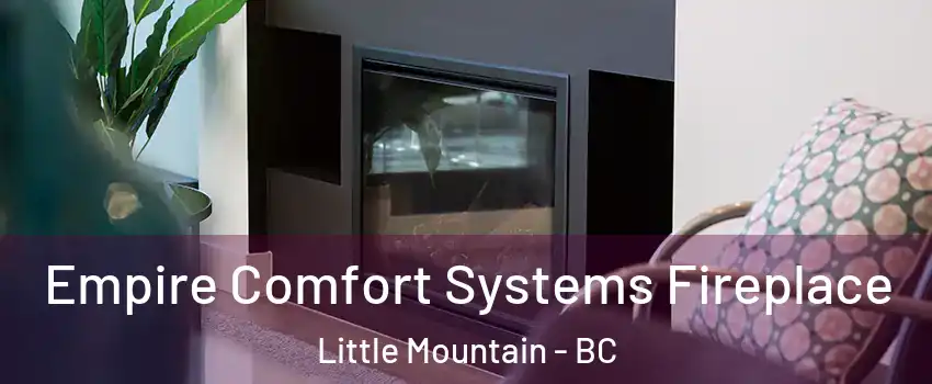  Empire Comfort Systems Fireplace Little Mountain - BC