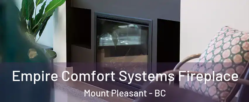  Empire Comfort Systems Fireplace Mount Pleasant - BC
