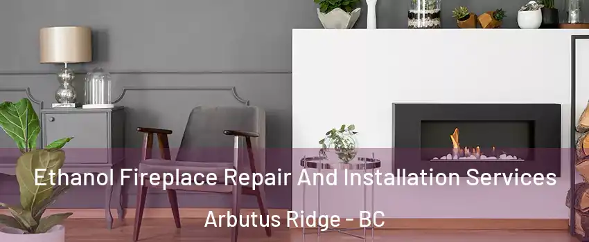  Ethanol Fireplace Repair And Installation Services Arbutus Ridge - BC