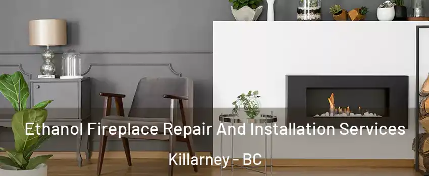  Ethanol Fireplace Repair And Installation Services Killarney - BC