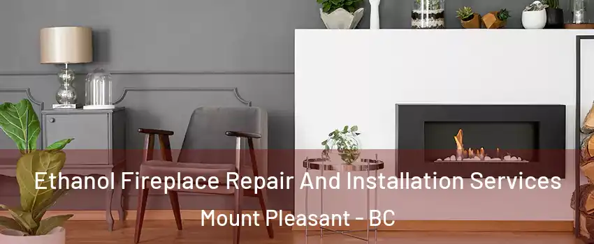  Ethanol Fireplace Repair And Installation Services Mount Pleasant - BC