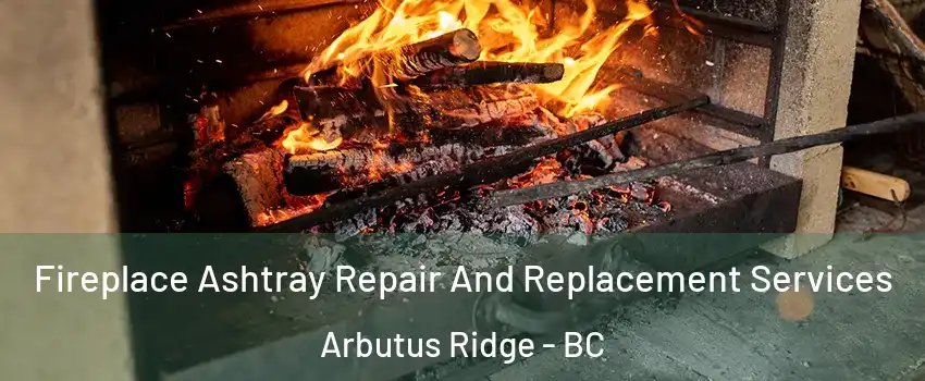  Fireplace Ashtray Repair And Replacement Services Arbutus Ridge - BC